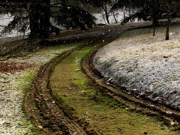 Off-road track in winter