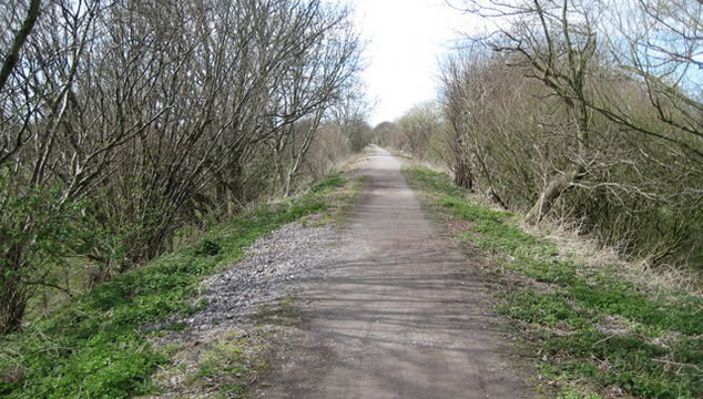 The Phoenix Trail