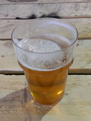 Hophead beer in a pint glass