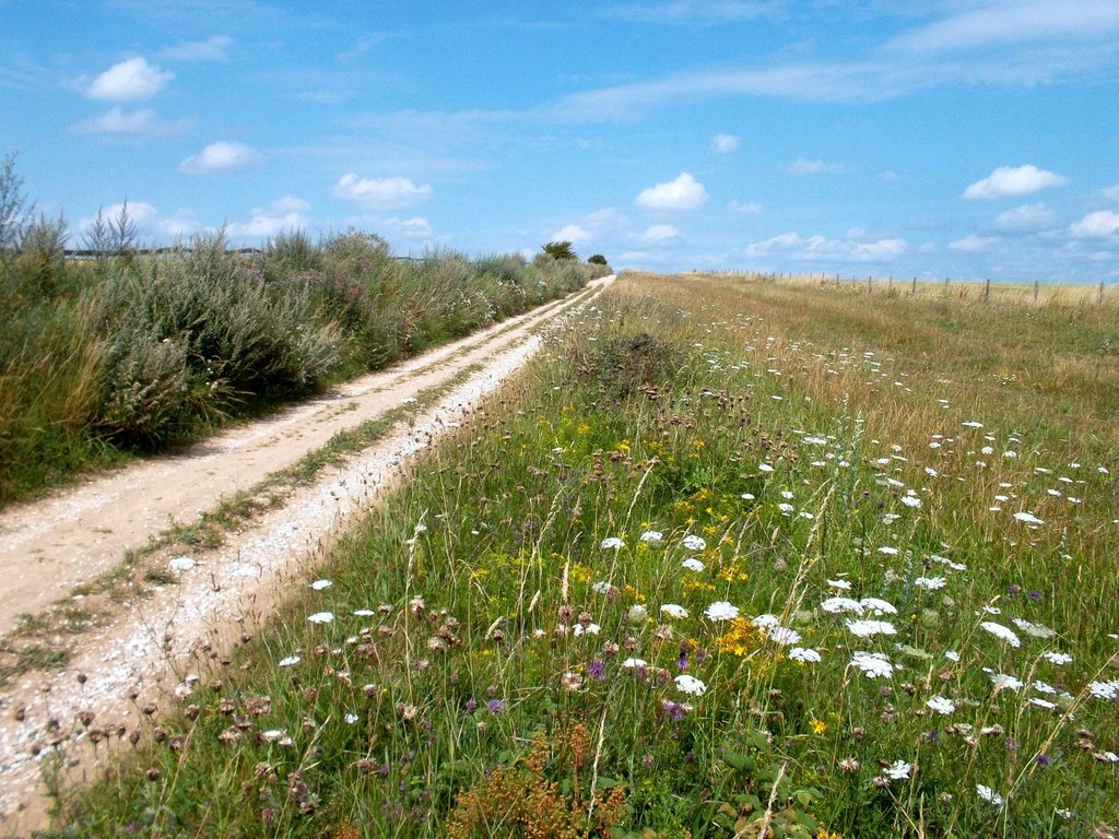 Cycling the Ridgeway Trail, Oxfordshire, Berkshire, Wiltshire