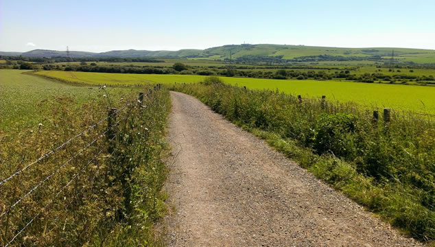 Sussex countryside and the Downs Link trail