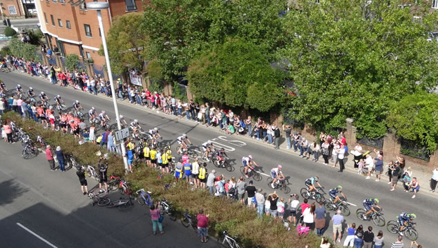 Tour of Britain cyclists