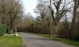 Country lane south of Horsham